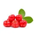 Acerola bær i kosttilskud Acerola bær i kosttilskud