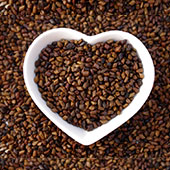 Cassia frø Cassia frø