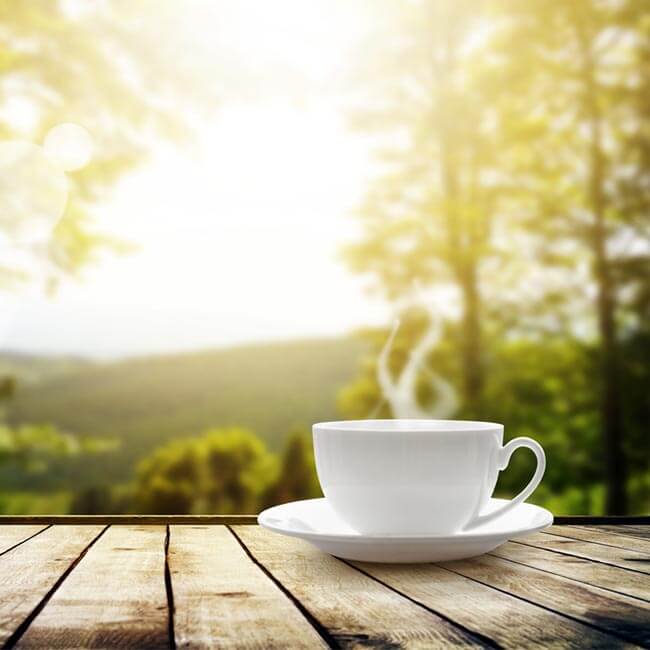 Fordele ved at tage Grøn Te Ekstrakt