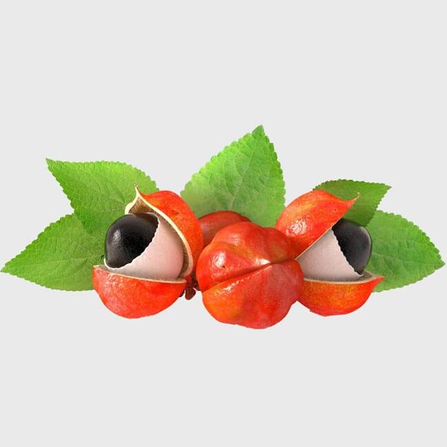 Guarana – en sund kilde til koffein