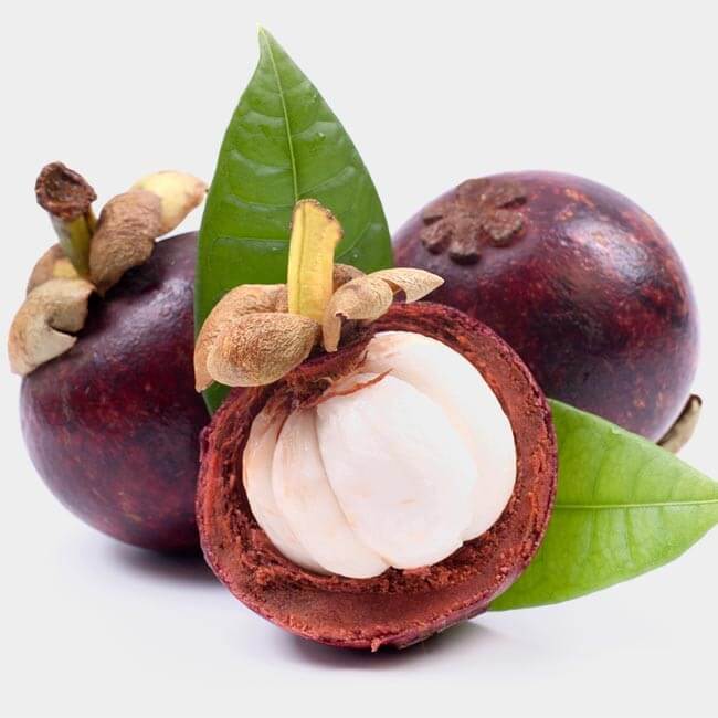 Få alt den viden omkring Mangosteen du behøver lige her