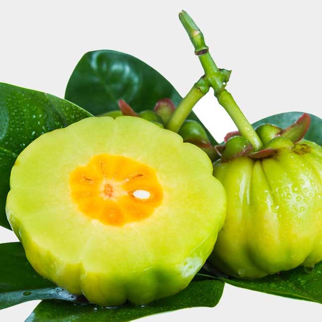 Garcinia Cambogia - virker det?