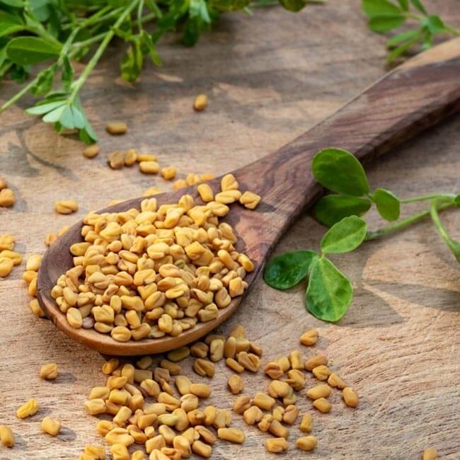 Bukkehornsfrø til vægttab: Virkning, anvendelse og fordele