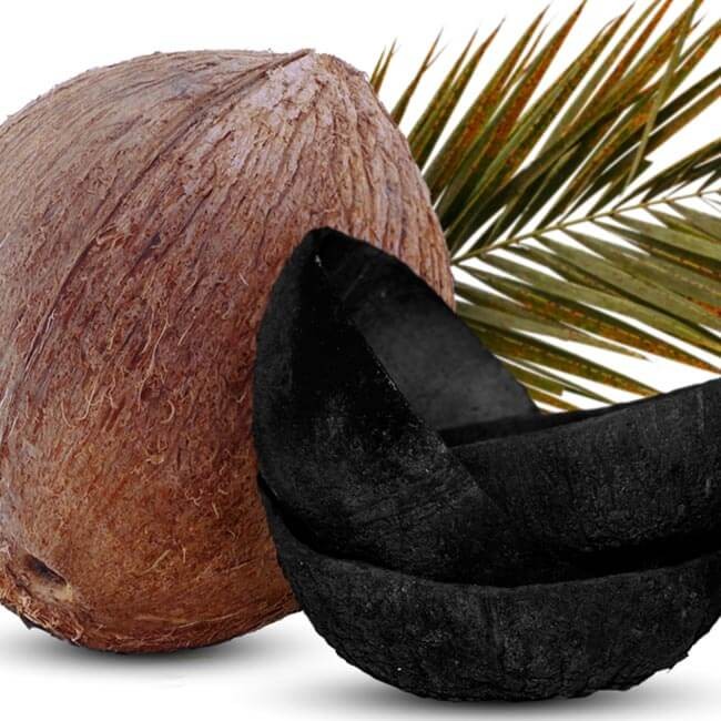 Super fordøjelse med superfooden aktivt kul