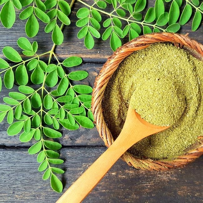 Moringa - en superfood til din sundhed og velvære