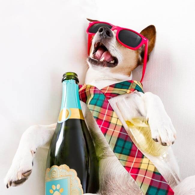 Super-kur mod tømmermænd med superfood