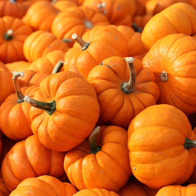 5 ingredienser til en udrensning dette Efterår