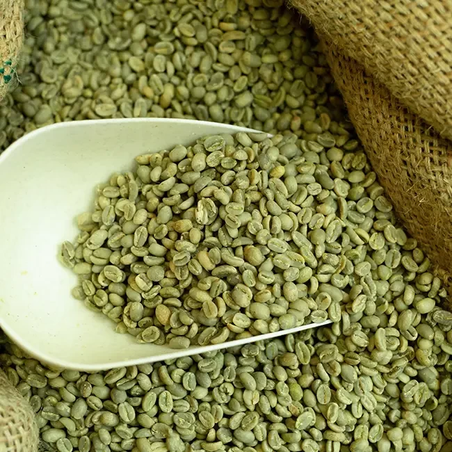 5 fordele ved grøn kaffe