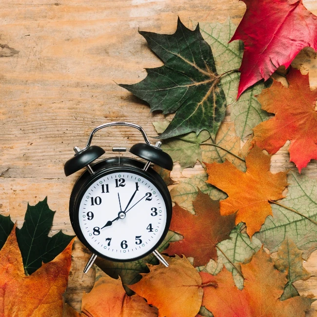 Til kamp mod vintertrætheden - 7 gode råd til mere energi i mørket