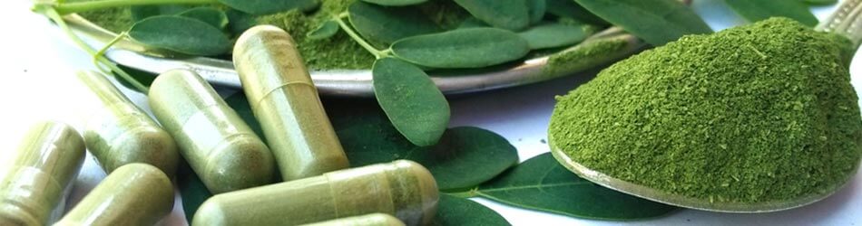 Moringa som kosttilskud er let at kende på sin flotte grønne farve, og let at tilføje dine daglige rutiner, da det findes i kapselform Moringa som kosttilskud er let at kende på sin flotte grønne farve, og let at tilføje dine daglige rutiner, da det findes i kapselform