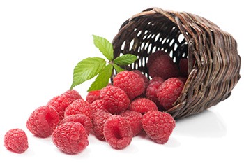 hindbærketoner plus slankepiller