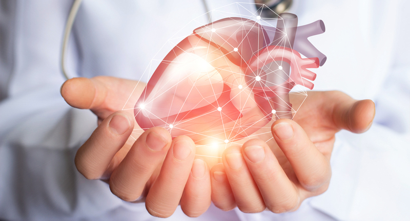 Curcumin har en blodfortyndende effekt, og antioxidanter kan støtte hjertesundheden. Curcumin har en blodfortyndende effekt, og antioxidanter kan støtte hjertesundheden.