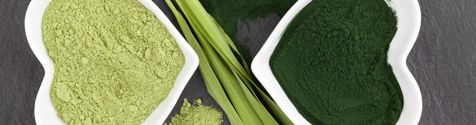 Forkæl dig selv og din krop med lidt grøn kærlighed fra den populære chlorella Forkæl dig selv og din krop med lidt grøn kærlighed fra den populære chlorella